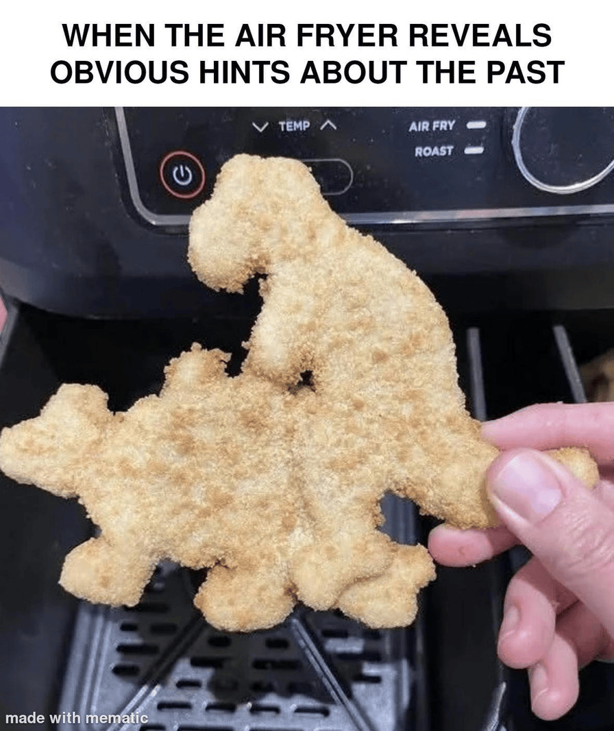 Airfryer meme 11