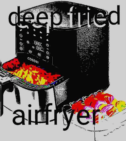 Airfryer meme 12